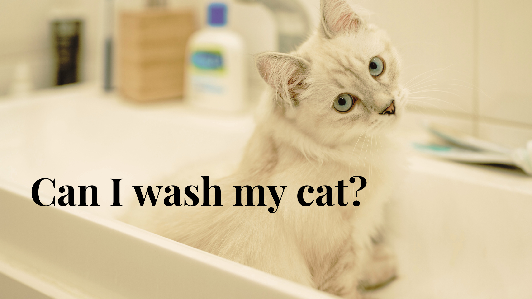 Can i wash my cat